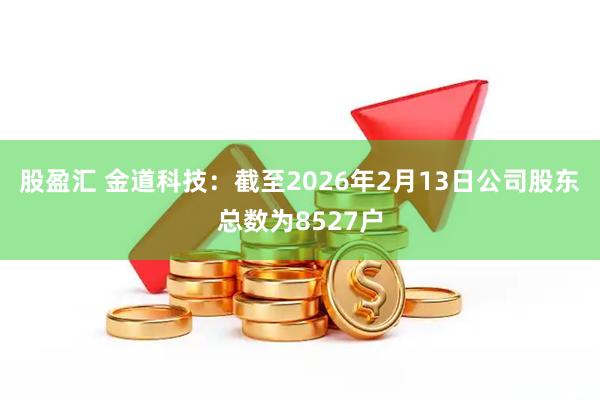 股盈汇 金道科技：截至2026年2月13日公司股东总数为8527户