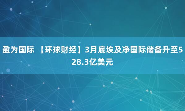 盈为国际 【环球财经】3月底埃及净国际储备升至528.3亿美元